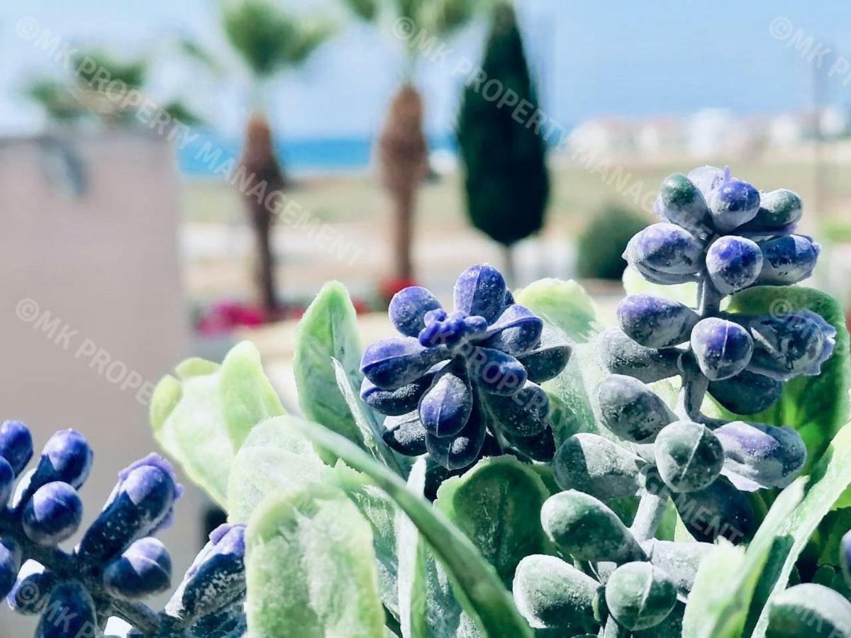 لارنكا Lysia Sea-View Apartment المظهر الخارجي الصورة